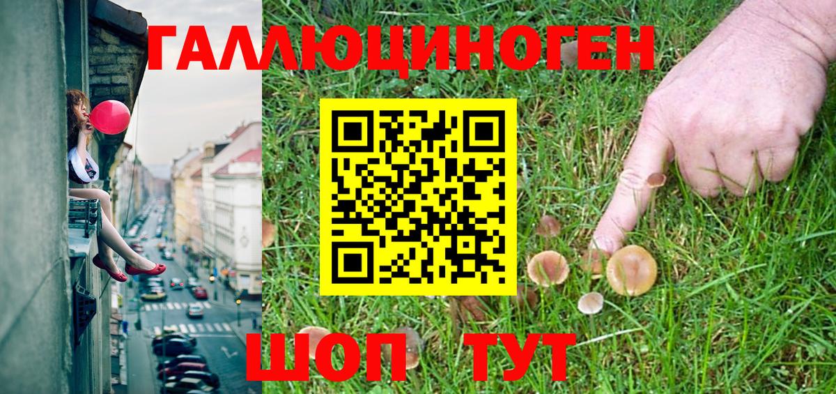Пугачёв  цены наркотик  Вход с VPN  Псилоцибиновые грибы Magic Shrooms 