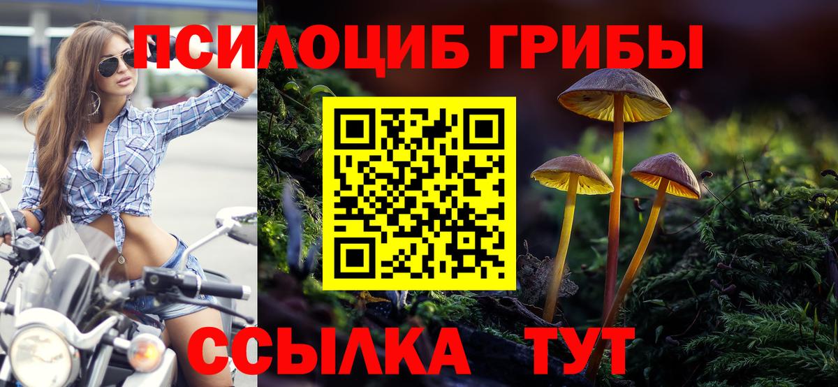 Галлюциногенные грибы прущие грибы Пугачёв